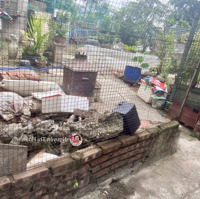 Bán Nhà Cấp Bốn Mặt Ngõ To Như Phố Thuý Lĩnh 73M2-8,4 Tỷ-Ô Tô Tránh