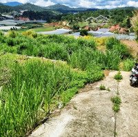 500M Đất Nông Nghiệp View Đẹp Ở Phường 5-Đà Lạt (Theo 704 Là Du Lịch Hỗn Hợp)