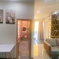 Cho Thuê Căn Hộ Mini 1 Phòng Ngủ 1 Phòng Khách Đẹp, Tiện Nghi