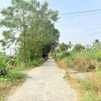 5X29 Full Thổ Cư Sổ Hồng Có Sẵn Giá 350 Triệu