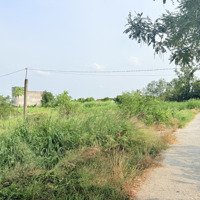 5X29 Full Thổ Cư Sổ Hồng Có Sẵn Giá 350 Triệu