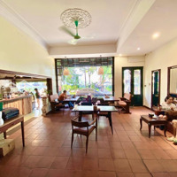 Siêu Phẩm Mặt Phố Hoàng Cầu Hiếm -Diện Tích240M2-Mặt Tiền8.2M- View Hồ Cực Đỉnh- Doanh Thu 1.5 Tỷ/Năm.