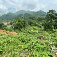 720M Có 226 Thổ Cư Còn Lại Đất Cây Lâu Năm. Bám Đường Betong 40M Giá Rẻ Tại Tp Hoà Bình