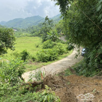 720M Có 226 Thổ Cư Còn Lại Đất Cây Lâu Năm. Bám Đường Betong 40M Giá Rẻ Tại Tp Hoà Bình