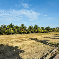 Bán Nhanh Lô Biệt Thự View Sông Kđt Ven Sông Tắc, Duy Nhất Còn 1 Lô Giá 30. 5 Triệu/M2