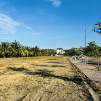 Bán Nhanh Lô Biệt Thự View Sông Kđt Ven Sông Tắc, Duy Nhất Còn 1 Lô Giá 30. 5 Triệu/M2