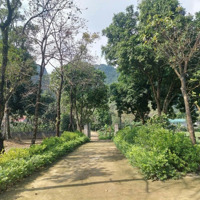 Bán Trang Trại, Khu Nghỉ Dưỡng Tại Xã Liên Sơn, Lương Sơn, Hòa Bình, Giá Tốt 16,5 Tỷ, 8215 M2
