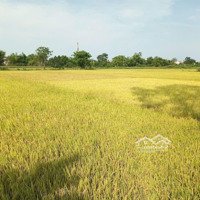 Bán Lô Đất Ở Hòa Châu Thuộc Địa Giới Hành Chính Hòa Xuân.