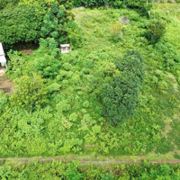 Chính Chủ Cần Chuyển Nhượng Lô Đất 586M2 Tại Hoà Sơn, Lương Sơn, Hoà Bình