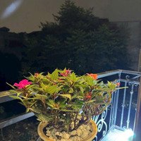 Nhà Phố 67 Nguyễn Văn Cừ, Ô Tô Vào Nhà, Ngõ Thông Ngọc Lâm Full Nội Thất Xịn