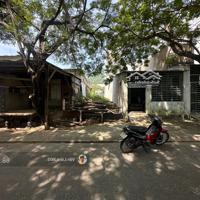 Bán Đất Giá Siêu Hời Tại Đường Đất Lành, Xã Phước Đồng, Nha Trang, Khánh Hòa, 2,55 Tỷ, 74M2