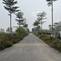 Bán 67,2M2 Đất Đấu Giá Song Phượng Đan Phượng Hà Nội.