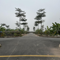 Bán 67,2M2 Đất Đấu Giá Song Phượng Đan Phượng Hà Nội.