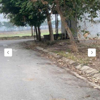 Bán Đất Tại Đt 131, Sóc Sơn, Hà Nội, Giá Tốt 42 Triệu, 100M2