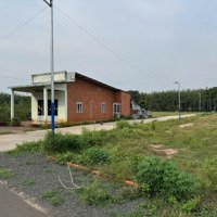 Tôi Chính Chủ Cần Bán Khoảng 8000M2 Đất 250/ Lô ( Không Phát Sinh)