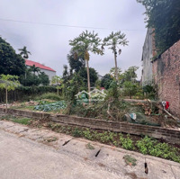 Bán Đất Quảng Hội,Quang Tiến Trục Kinh Doanh Đường 12M Giá Đầu Tư