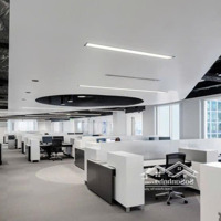 Bán Tòa Nhà Mặt Tiền Quang Trung - Dt: 20X30M - Hầm 8 Tầng - Hđt: 450 Triệu/Tháng - Giá Bán 60 Tỷ Tl