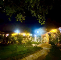 Bán Đất Tại Phúc Hòa, Phúc Thọ, Hà Nội, 560 Triệu, 550 M2 Giá Tốt Uy Tín
