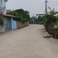 Xuân Đồng - Tân Minh. 80M Giá Chỉ Hơn Tỷ.mặt Tiền7,86M Ngõ Thông, Rộng, Ô Tô Vào Đất