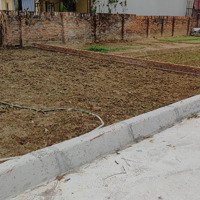 Xuân Đồng - Tân Minh. 80M Giá Chỉ Hơn Tỷ.mặt Tiền7,86M Ngõ Thông, Rộng, Ô Tô Vào Đất