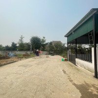 Chỉ Với 2 Tỷ Sở Hữu Ngay Lô Đất 100M Khu Cnc Hoà Lạc , Full Thổ Cư , Mặt Tiền Gần 7M