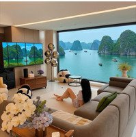 Đợt Đầu Mở Bán Căn Hộ Vip Skym Giá Chỉ 60 Tr/M2, View Vịnh ,Biển ,Trung Tâm Bãi Cháy Cách Biển 200M