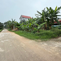 Bán Gấp Lô Đất Siêu Đẹp 55,8M Tại Bìa Làng Yên Ninh Sóc Sơn. Giá Chỉ 2 Tỷ