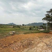 Bán Gấp Siêu Phẩm Nghỉ Dưỡng 3000M Mặt Đường 446 Yên Bình Thạch Thất