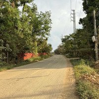 Bán Gấp Siêu Phẩm Nghỉ Dưỡng 3000M Mặt Đường 446 Yên Bình Thạch Thất