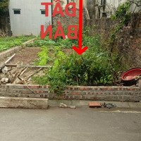 Bán Đất Đẹp Đa Tốn - Gia Lâm Hà Nội 63M - Ô Tô Tránh- Gần Chợ - Gần Trường