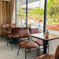 Bán Quán Cafe Kết Hợp Nhà Vườn Trái Cây 2500M2, Mặt Tiền Đường Long Giao-Bảo Bình, Cẩm Mỹ, Đồng Nai