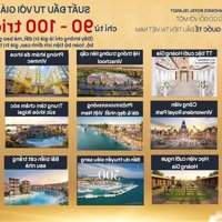Giỏ Hàng Độc Quyền Dự Án Vinhomes Royal Island - Quỹ Căn Đẹp Vos - Chiết Khấu Cao Đến 12%
