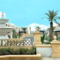 Giỏ Hàng Độc Quyền Dự Án Vinhomes Royal Island - Quỹ Căn Đẹp Vos - Chiết Khấu Cao Đến 12%