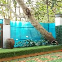 Cho thuê căn hộ dịch vụ tại Đặng Thai Mai, Tây Hồ, 45m2, 1PN, sân vườn, đầy đủ nội thất