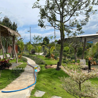 Bán Nhà Riêng 3 Phòng Ngủ+ 1 Vệ Sinhtại Liên Hiệp, Đức Trọng, Lâm Đồng, 3 Tỷ, 1Ức Trọng, Lâm Đồng, 3 Tỷ, 1000M2