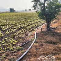 Bán Đất Nền 2800M2 Tại Đường Suối Thông B, Đơn Dương, Lâm Đồng, Giá Thỏa Thuận