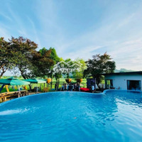 Tìm Chủ Mới Cho Vìlas. Đẹp Bậc Nhất Ba Vì 2300M 500 Thổ Cư