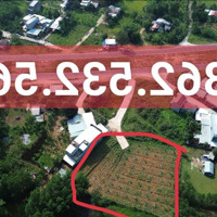 Bán Lô Đất Diện Tích Lớn 2000M2 Có 300M2 Đất Ở Sát Đường Vành Đai Phía Tây Hòa Phú.