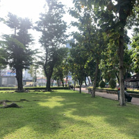 Đất Đẹp Homestay Phạm Ngũ Lão Q1 45M2 Đường Thông Sạch, Khu Vip Tây, Kế Công Viên, Sđcc, Chỉ 8.35 T