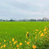 Bán Lô View Lúa 2 Mặt Trước Sau Đều Là Lúa Giá Tốt