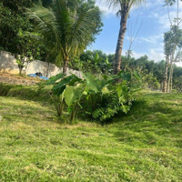 Siêu Phẩm View Suối 2700M2 Có Cổng Ngõ Tường Rào Bài Bản Rất Đẹp Gần Kdl Bà Nà Hills.
