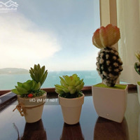 Bán Cc Mường Thanh Quê Hương, 2,65 Tỷ, 45M2, 1 Phòng Ngủ 1 Vệ Sinh Q.nha Trang, Kh