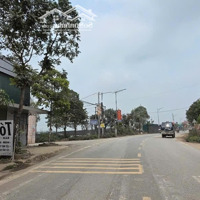 Đấu Giá Tiên Dương Đông Anh Khu Vực Hót Nóng Sinh Lời Cực Tốt Gần Công Viên Kim, Bv Th