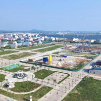 Bán Đất Nền Dự Án Tại Kđt Yên Bình, 30 Triệu / M2, 135 M2, Giá Ưu Đãi