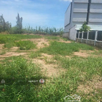 Đất Đẹp Diện Tích 120M2 Ở Mặt Tiền Đường Trần Văn Sớm, P1 Liền Kề Trường Thpt Giá Rai, Bạc Liêu.
