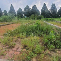 Còn Duy Nhất 01 Lô 100M2, Full Đất Ở, Tđc Đhqghn