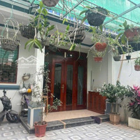 Hàng Hiếm Đây Các Bác Ơi Chỉ Hơn 6Ty Có Ngay Nhà Tại Khu Tuần Châu, Sài Sơn