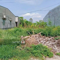 Vị Trí Đẹp Mặt Tiền Đường Huỳnh Thúc Kháng, P7 Cách Chợ Nổi Cà Mau 400M Di Chuyển.diện Tích120M2/ 500 Triệu.