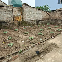 Bán Đất Tráng Việt, Chỉ 1,85 Tỷ, 50M2, Ô Tô Vào Đất.