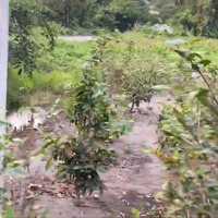 Bán Đất 200M2 Tại Võ Thị Sáu, Phú Đông, Nhơn Trạch, Đồng Nai Chỉ Với Giá Ưu Đãi 2,75 Tỷ